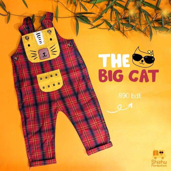 The-Big-Cat-rompers-unisex-for-baby-boy-girl-main-photo