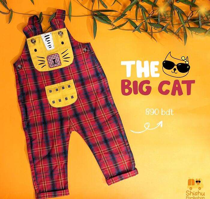 The-Big-Cat-rompers-unisex-for-baby-boy-girl-main-photo